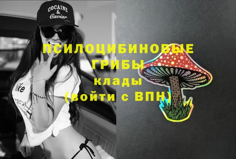 купить наркоту  omg как войти  Псилоцибиновые грибы Magic Shrooms  Уяр 